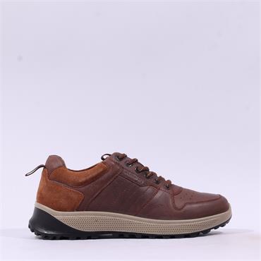 Dubarry Men Summit Laced Rugged Trainer - Brown Leather